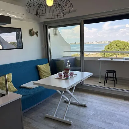 Climatise 2 Pieces Avec Parking Pres De La - Fr-1-250-309 Apartman *