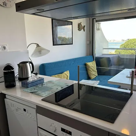 Climatise 2 Pieces Avec Parking Pres De La - Fr-1-250-309 Apartman *
