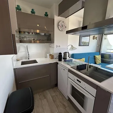 Apartman Climatise 2 Pieces Avec Parking Pres De La - Fr-1-250-309